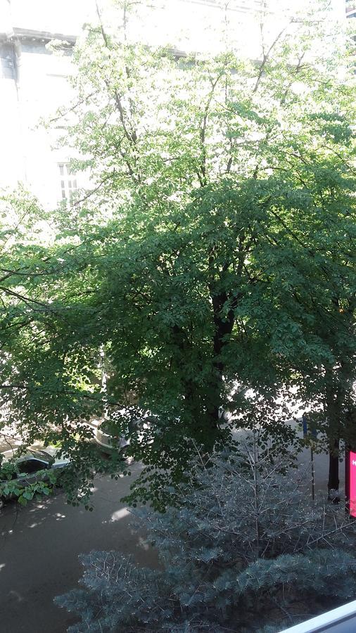 Light, Spacious Apartment In The Heart Of Белград Екстериор снимка